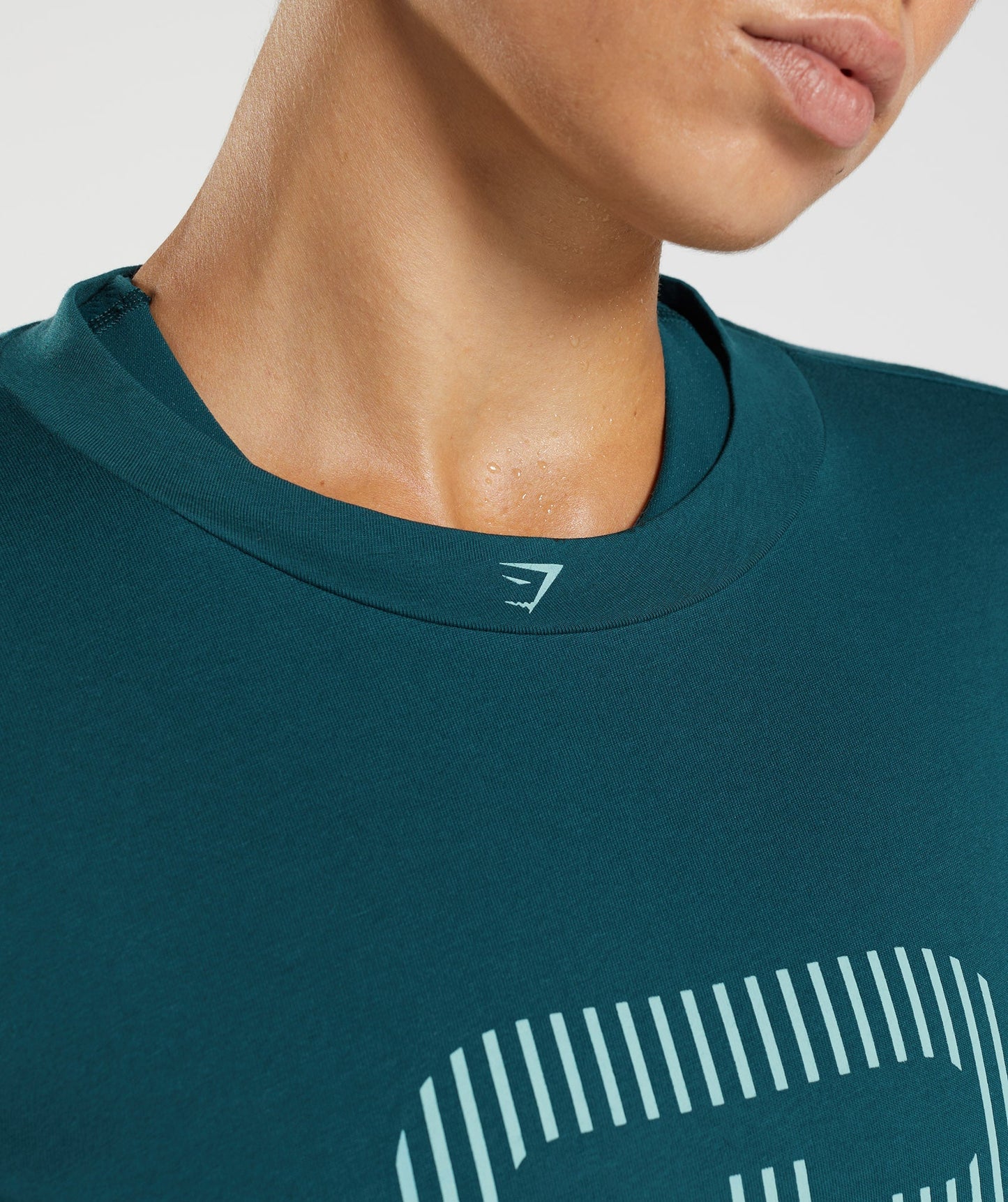 Gymshark 315 Midi T-Shirt - Winter Teal/Pearl Blue