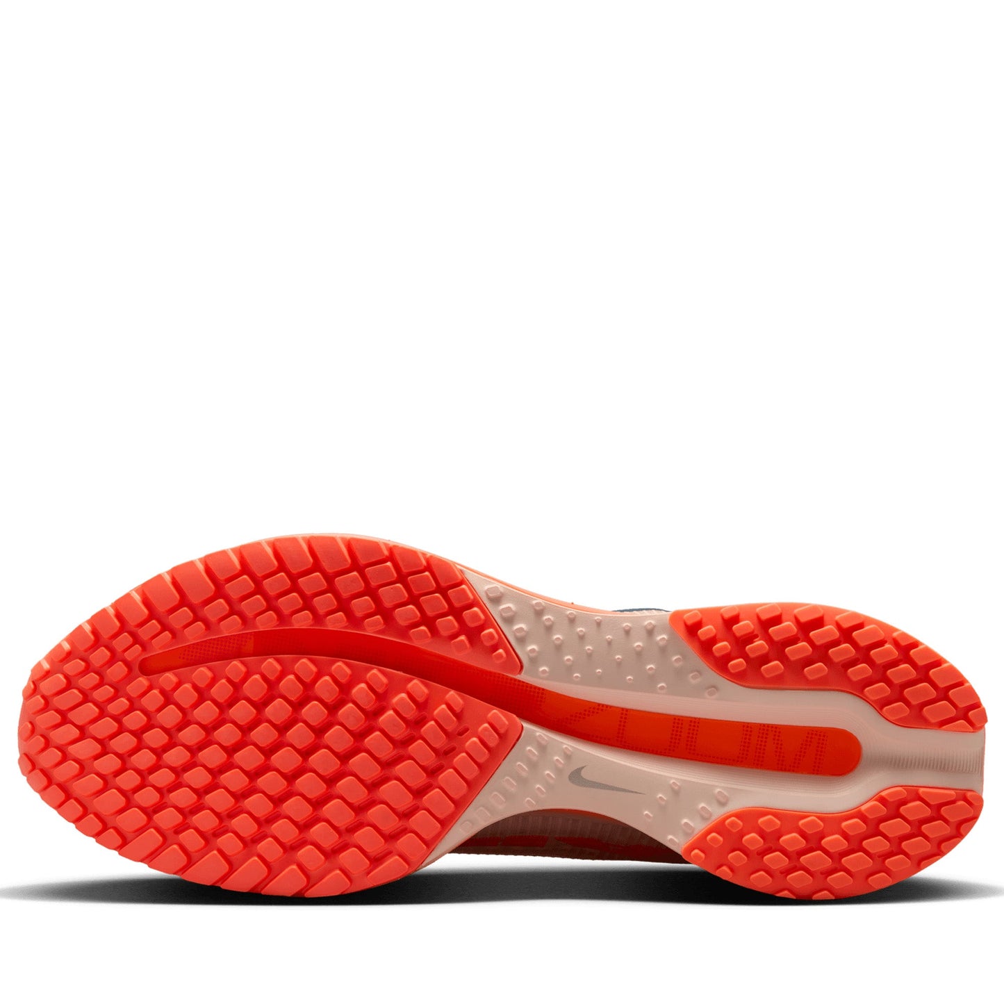 Nike Pegasus Premium - Washed Coral/Gridiron