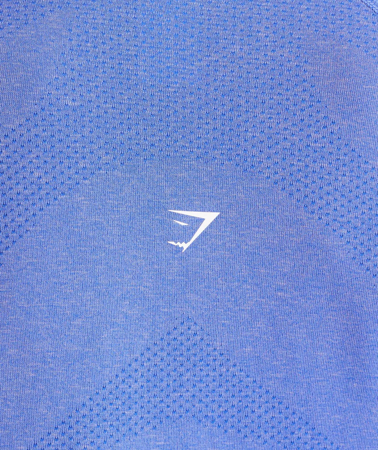 Gymshark Vital Seamless Light Long Sleeve Top - Lift Blue/ Marl